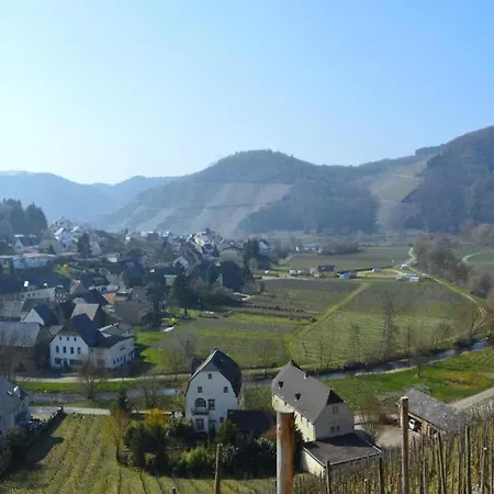 Morbach Hillside Mansion, Cleaning Included Morscheid-Riedenburg