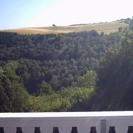 Morbach Hillside Mansion, Cleaning Included Tatil Evi