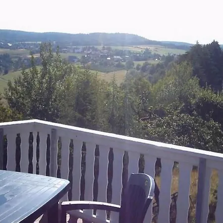 Morbach Hillside Mansion, Cleaning Included *