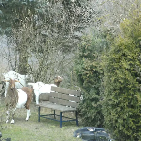 Morbach Hillside Mansion, Cleaning Included * Morscheid-Riedenburg