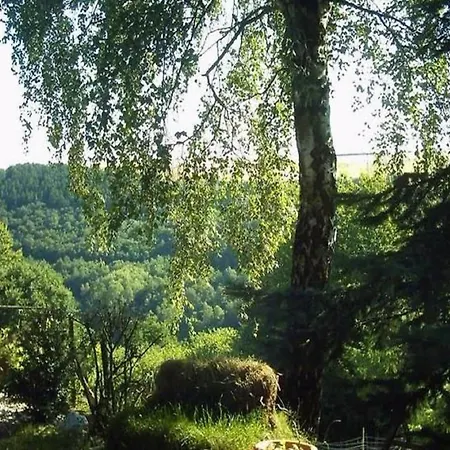 Tatil Evi Morbach Hillside Mansion, Cleaning Included *